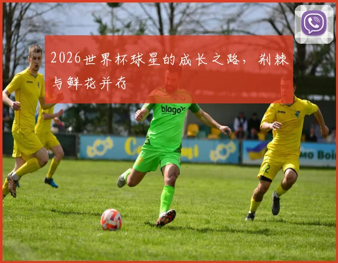 2026世界杯球星的成长之路，荆棘与鲜花并存